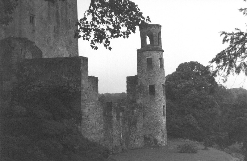 ireland blarney caltle 02.jpg